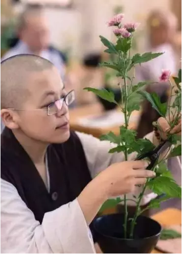 醍醐法师照片老师图片